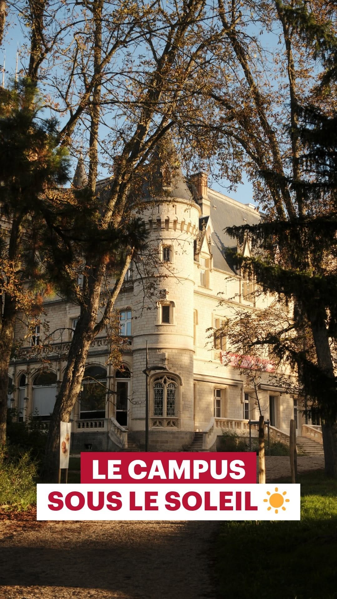 Post 5 by Institut Lyfe - Ex Institut Paul Bocuse on Instagram (video)