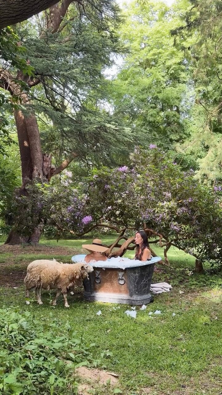 Post 2 by Les Séquoias Géants on Instagram (video)