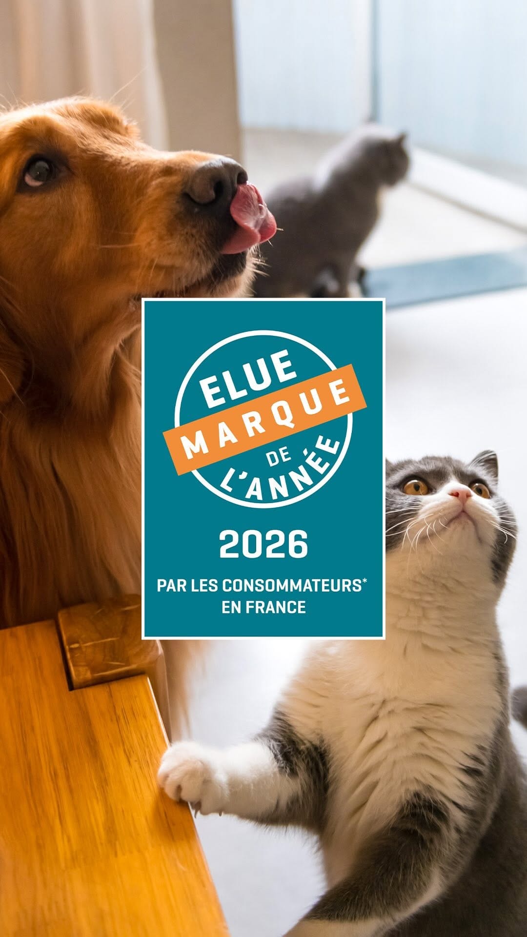 Post 10 by Hill's Pet Nutrition France 🇫🇷 on Instagram (video)