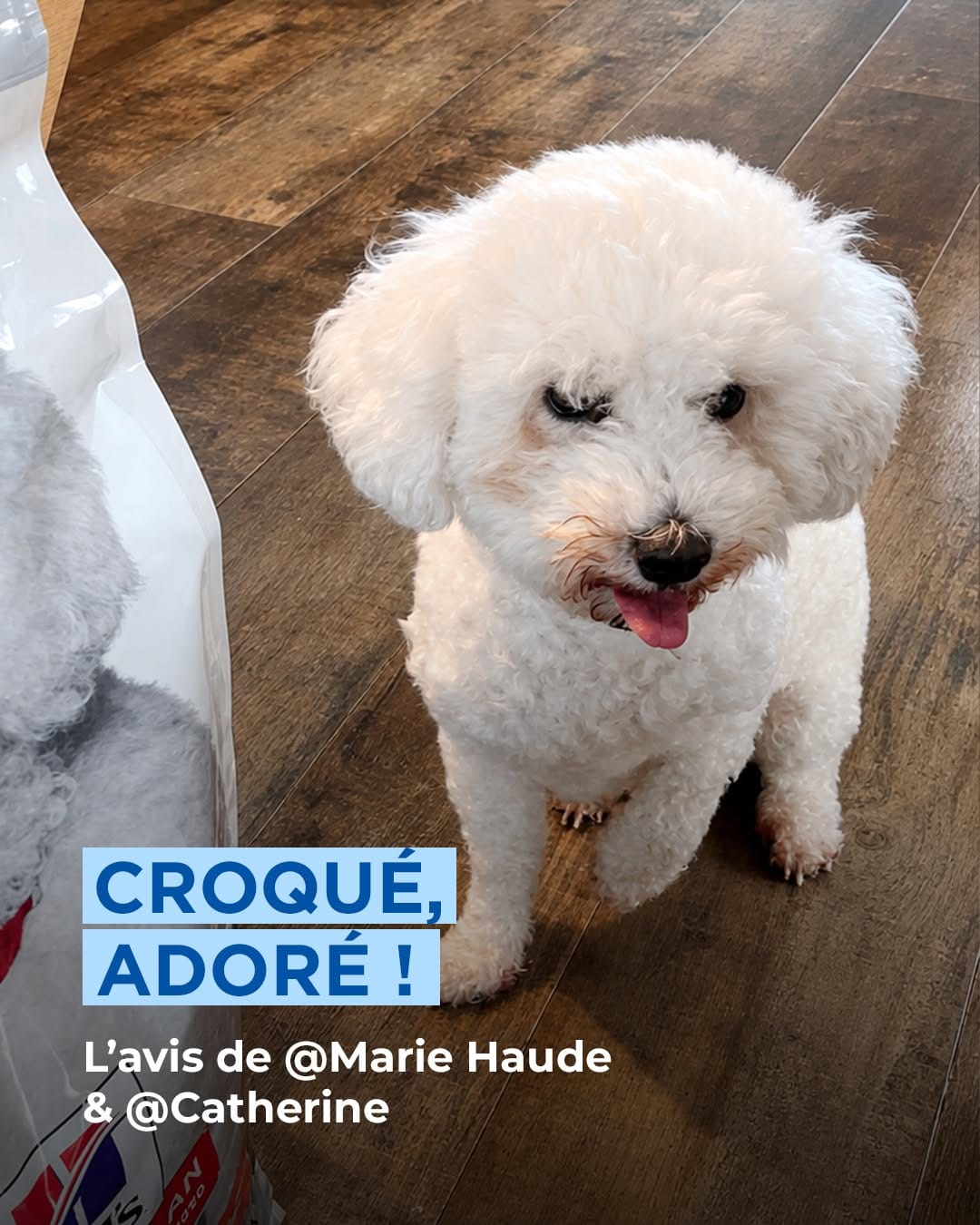 Post 6 by Hill's Pet Nutrition France 🇫🇷 on Instagram (carousel)