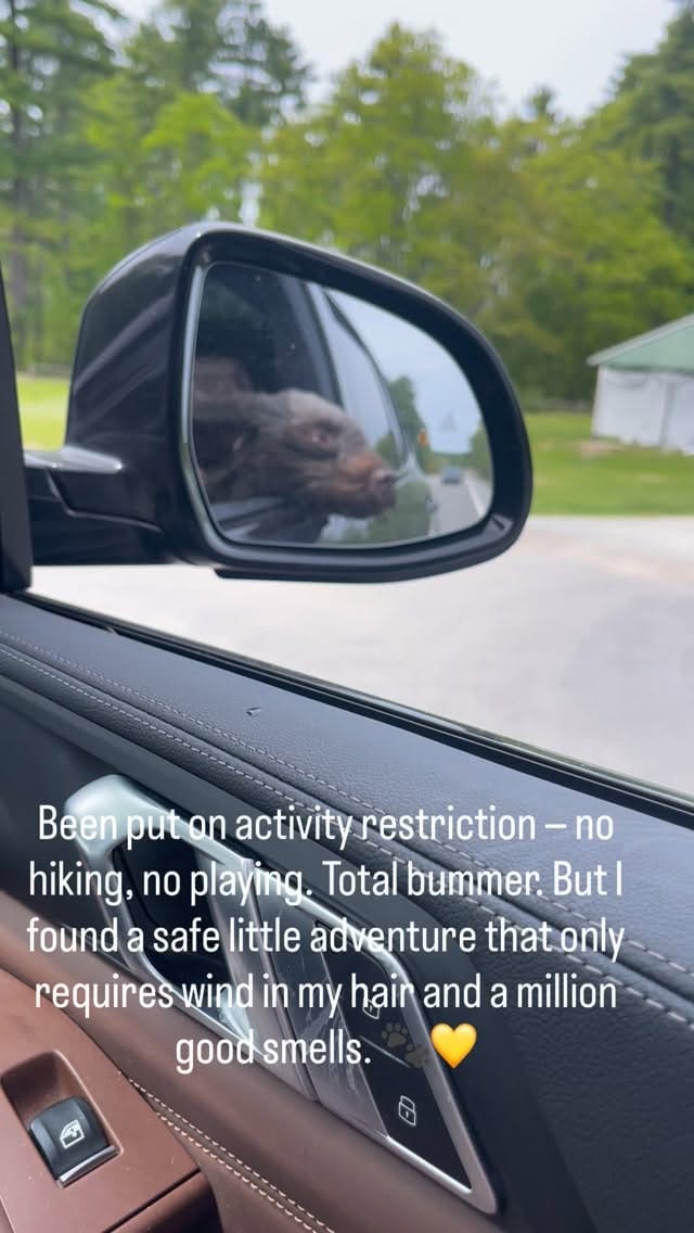 Post 3 by Doe and Zuri with Rey, Frances & Boone on Instagram (video)