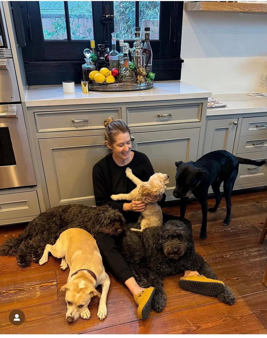 Post 7 by Doe and Zuri with Rey, Frances & Boone on Instagram (image)