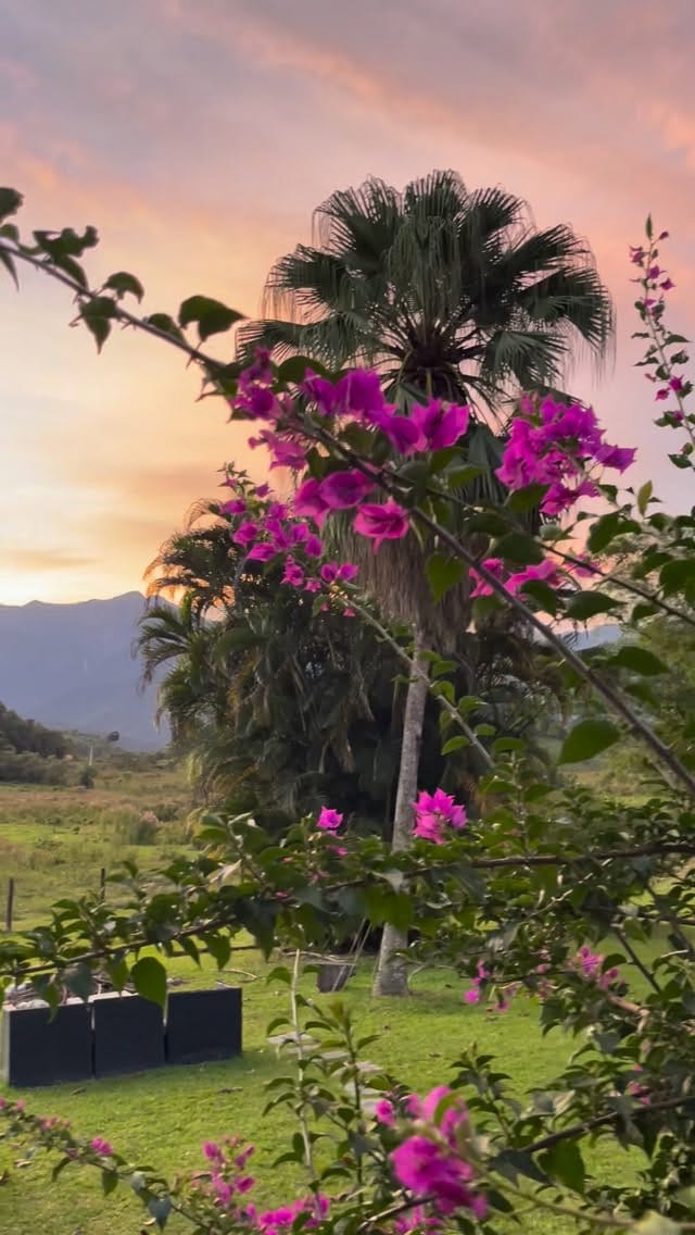 Post 2 by Fazenda Do Francês | Eco Pousada Cachoeiras de Macacu on Instagram (video)