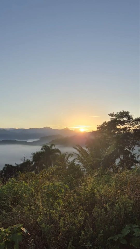 Post 7 by Fazenda Do Francês | Eco Pousada Cachoeiras de Macacu on Instagram (video)