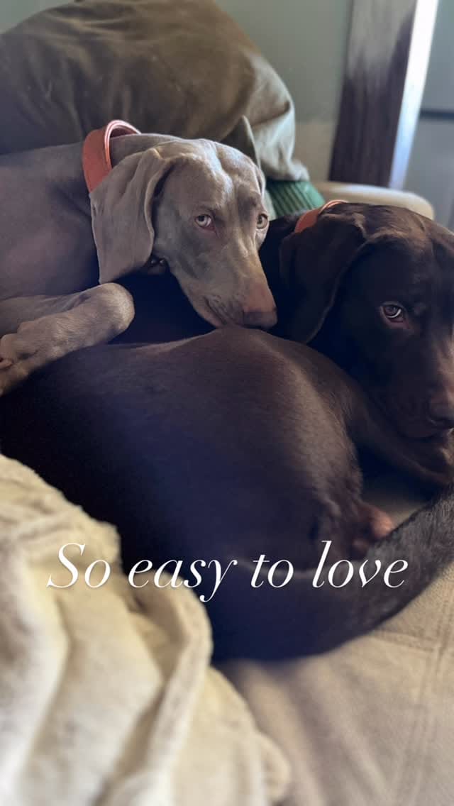 Post 8 by Philip on Instagram (video)