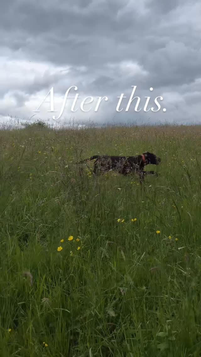 Post 9 by Philip on Instagram (video)