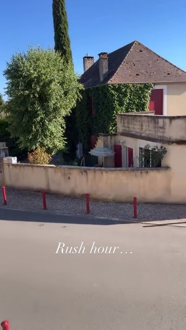 Post 7 by Philip on Instagram (video)