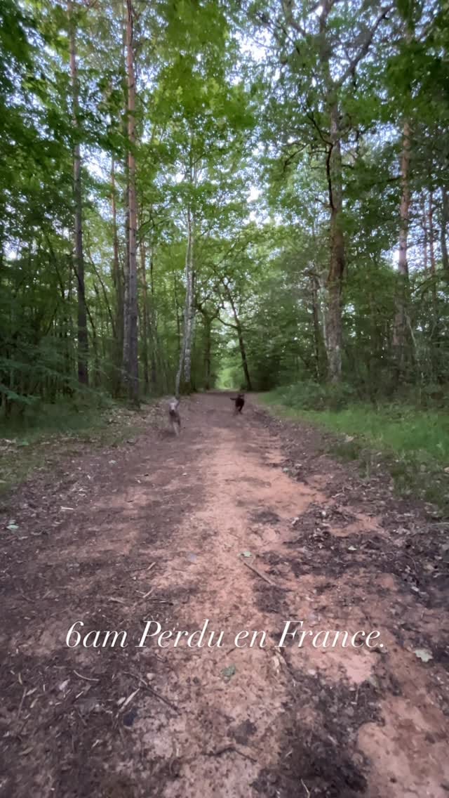 Post 5 by Philip on Instagram (video)