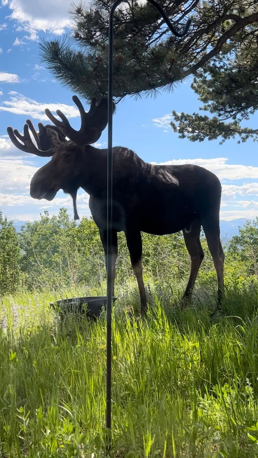 Post 5 by Kristi Mason on Instagram (video)
