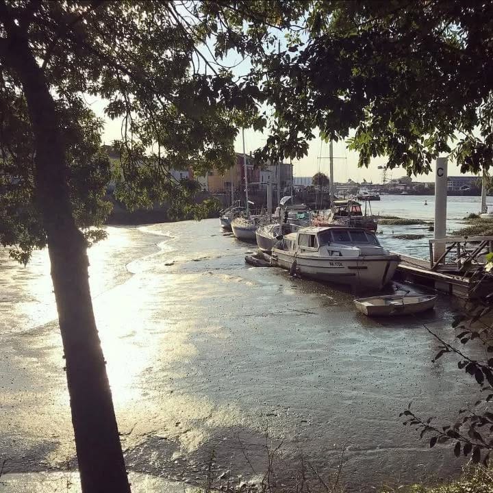 Post 5 by Virgina Braswell on Instagram (image)