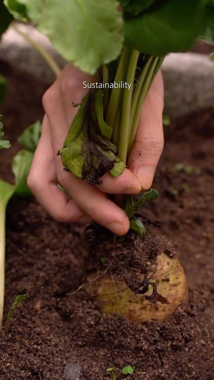 Post 1 by Potager on Instagram (video)