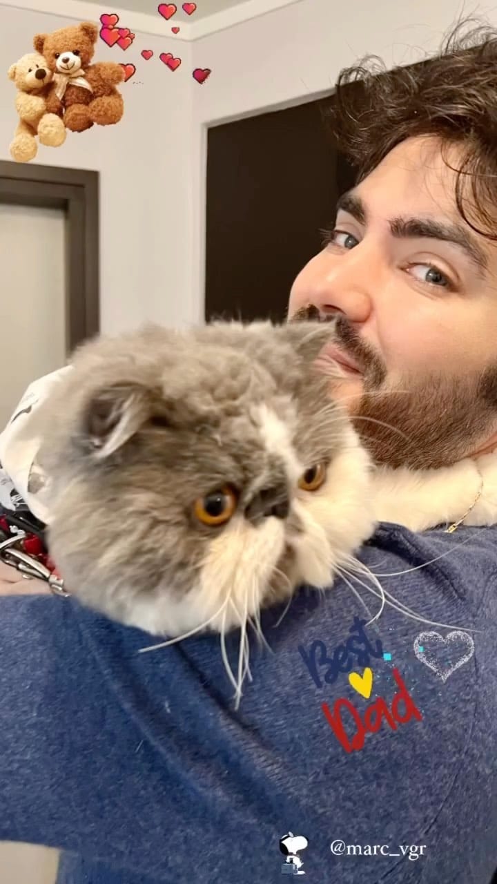 Post 5 by King teddy Chacha 👑🧸fluffy cheeks on Instagram (video)