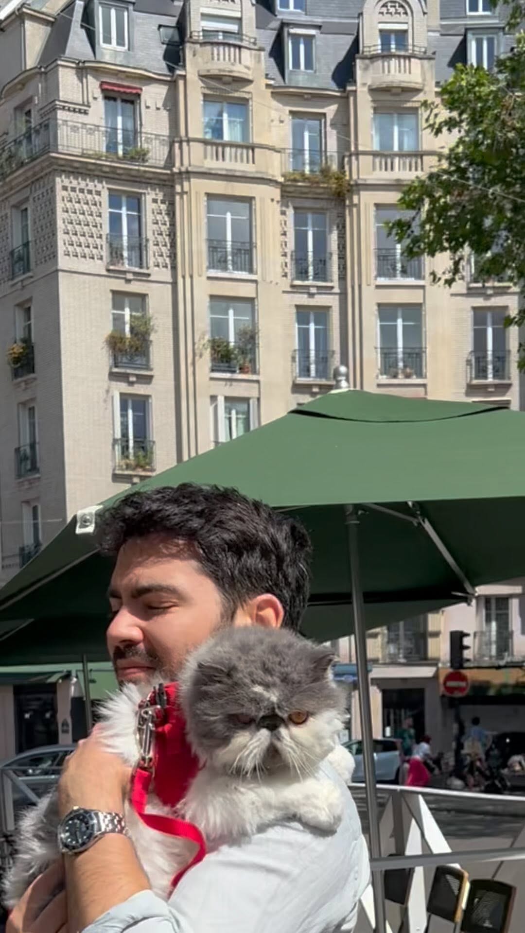 Post 4 by King teddy Chacha 👑🧸fluffy cheeks on Instagram (video)