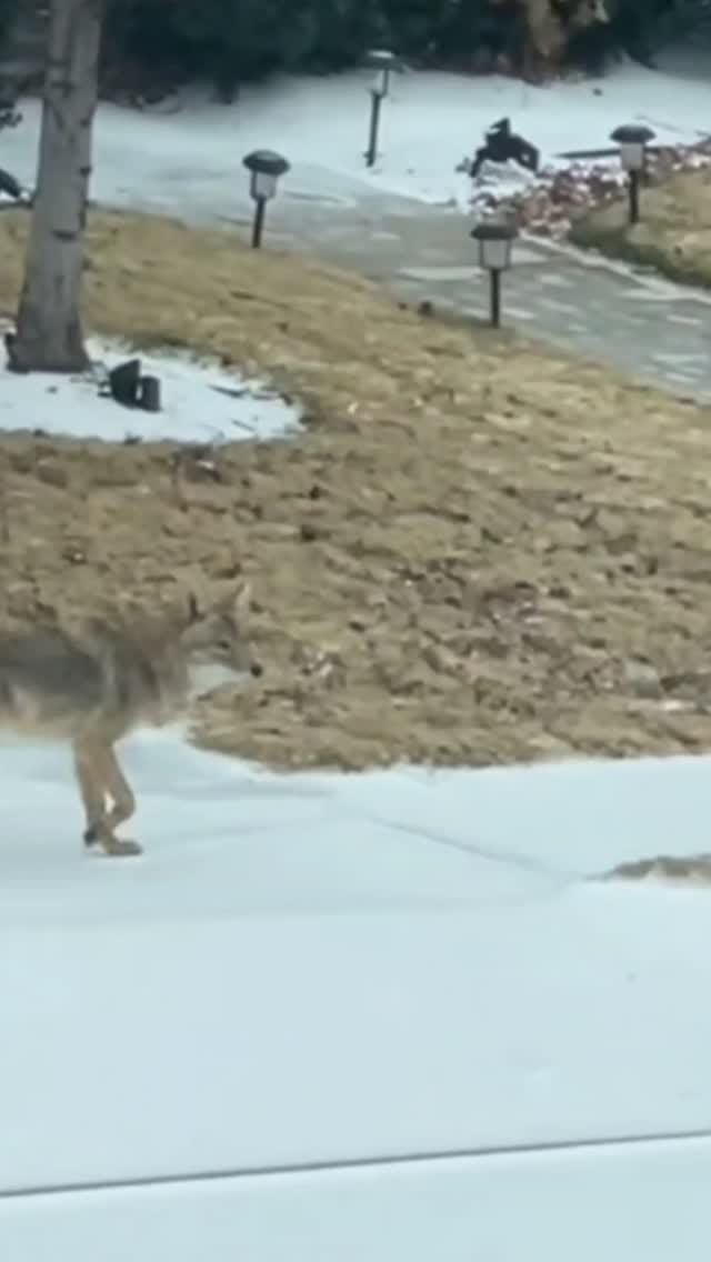 Post 7 by Mandy on Instagram (video)