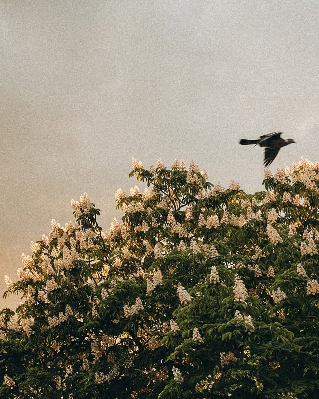 Post 9 by Onur Tarçın on Instagram (carousel)