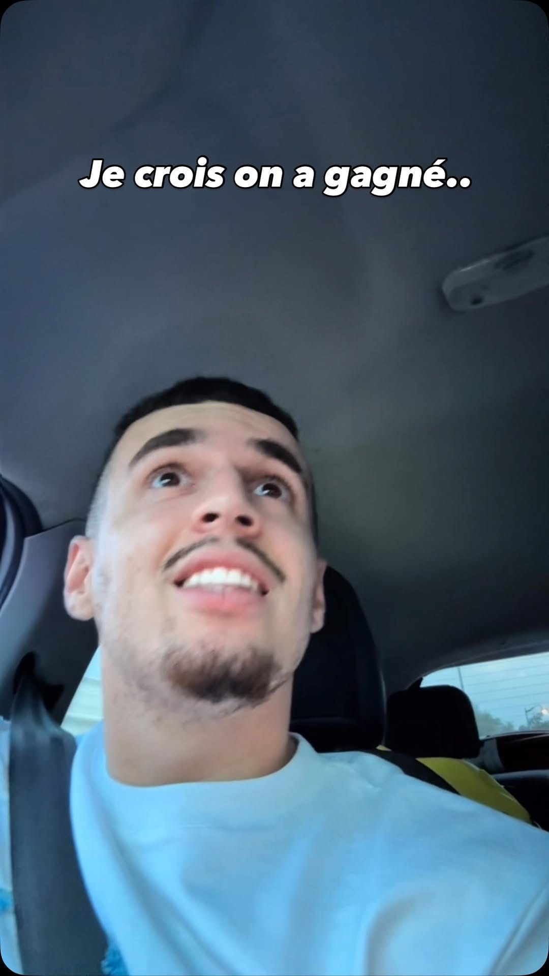 Post 8 by Serval pour de vrai on Instagram (video)