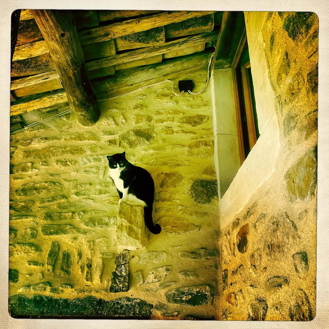 Post 3 by Emma Colberti on Instagram (image)
