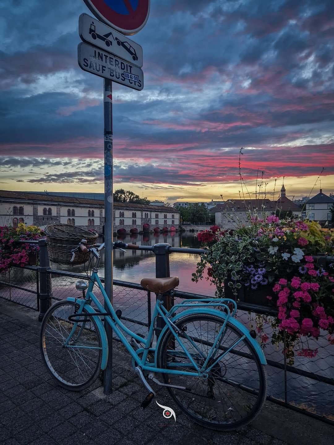 Post 7 by Olivier Hannauer La Chouette Photo on Instagram (image)