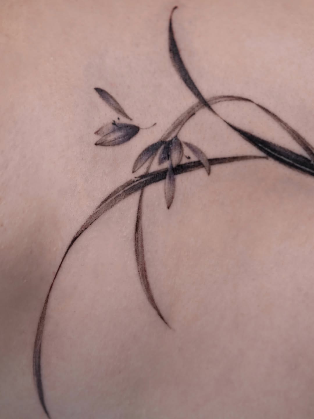 Post 2 by Flowers, leaves & microrealism • Warszawa on Instagram (carousel)
