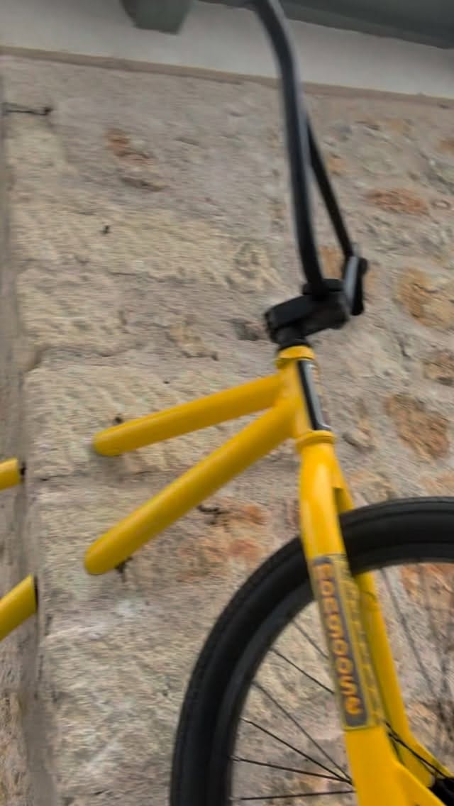 Post 2 by Monsieur BMX on Instagram (video)