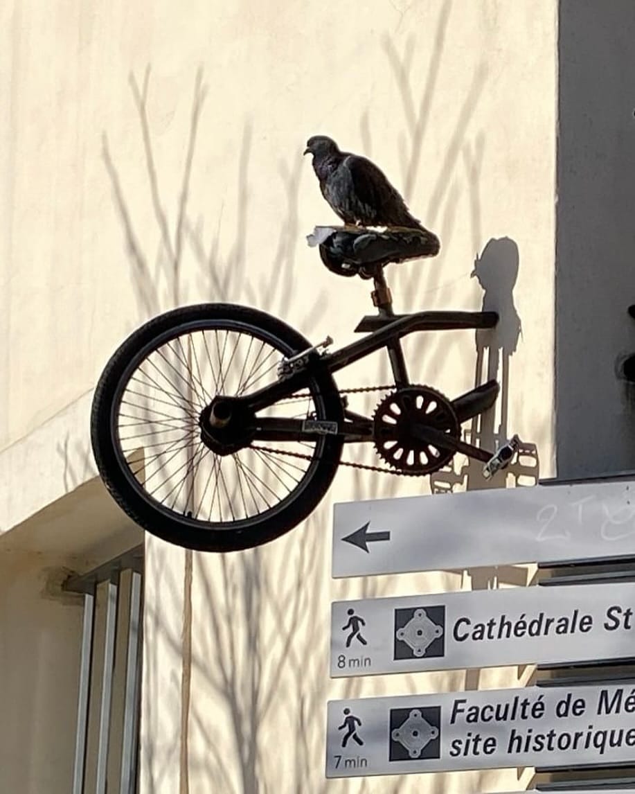 Post 7 by Monsieur BMX on Instagram (image)