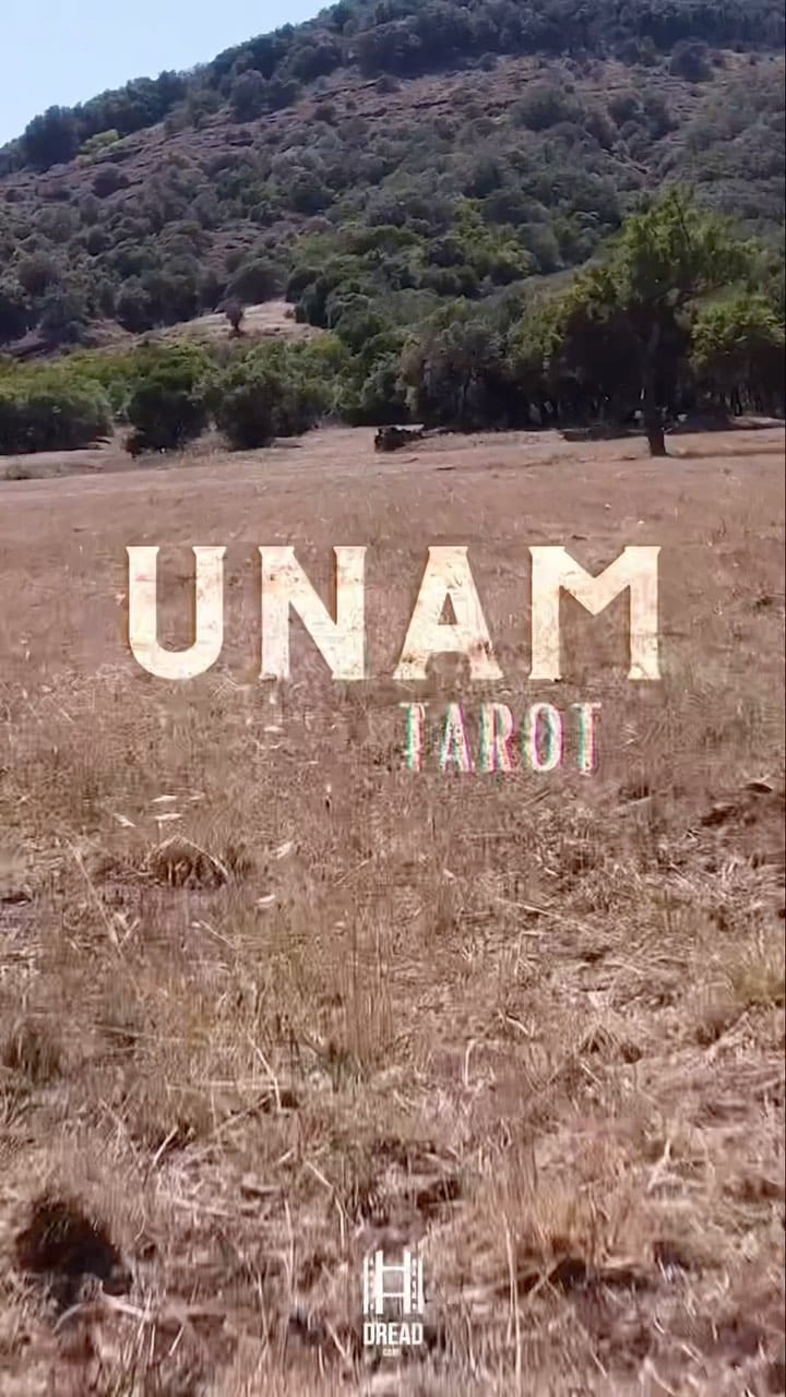Post 6 by Eml Nts on Instagram (video)