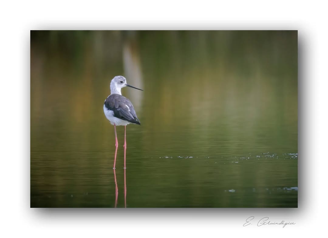 Post 9 by Emmanuel Graindépice on Instagram (image)