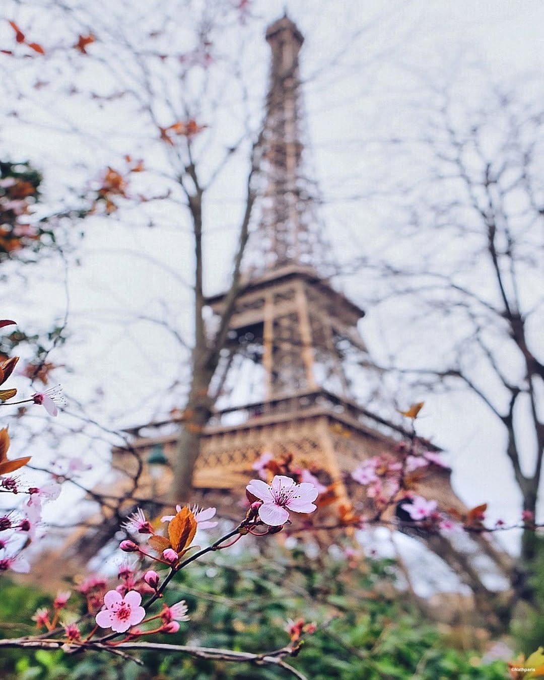 Post 8 by nathparis on Instagram (image)