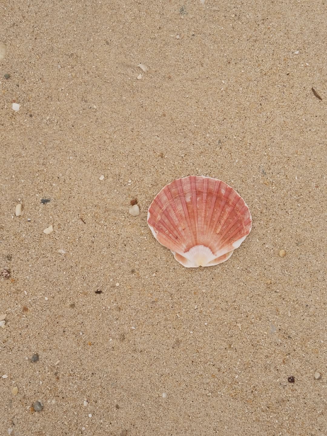 Post 6 by Julia 🐚 on Instagram (image)