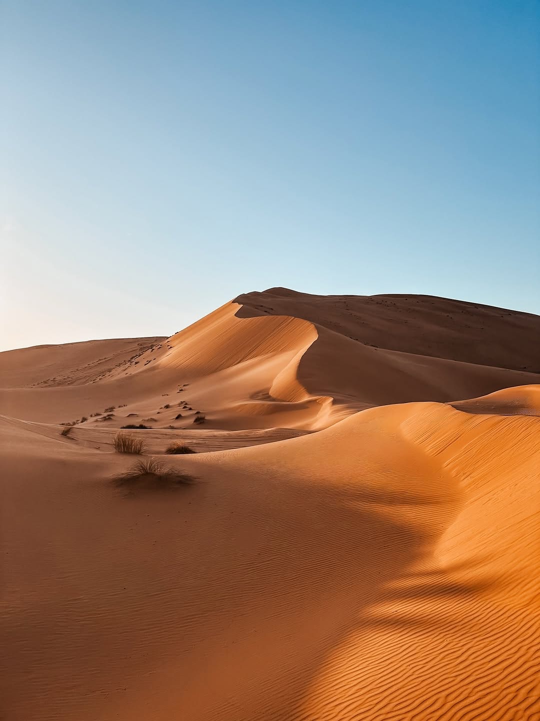 Post 5 by WILLY RENARD on Instagram (image)