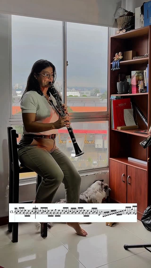 Post 2 by Natalia Castro | Clarinet on Instagram (video)