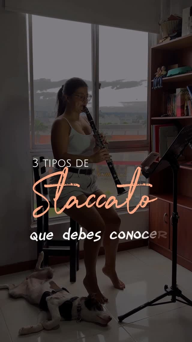 Post 5 by Natalia Castro | Clarinet on Instagram (video)