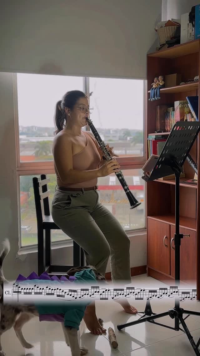 Post 4 by Natalia Castro | Clarinet on Instagram (video)
