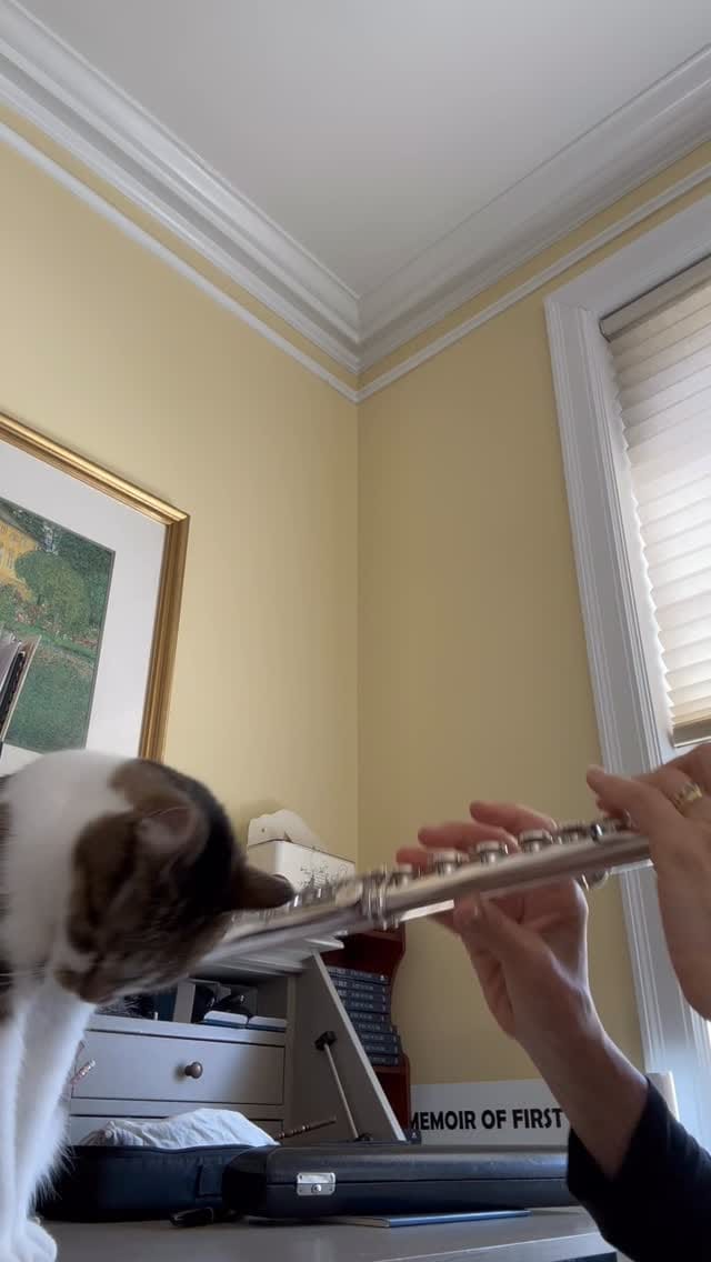 Post 8 by Julie Scolnik on Instagram (video)
