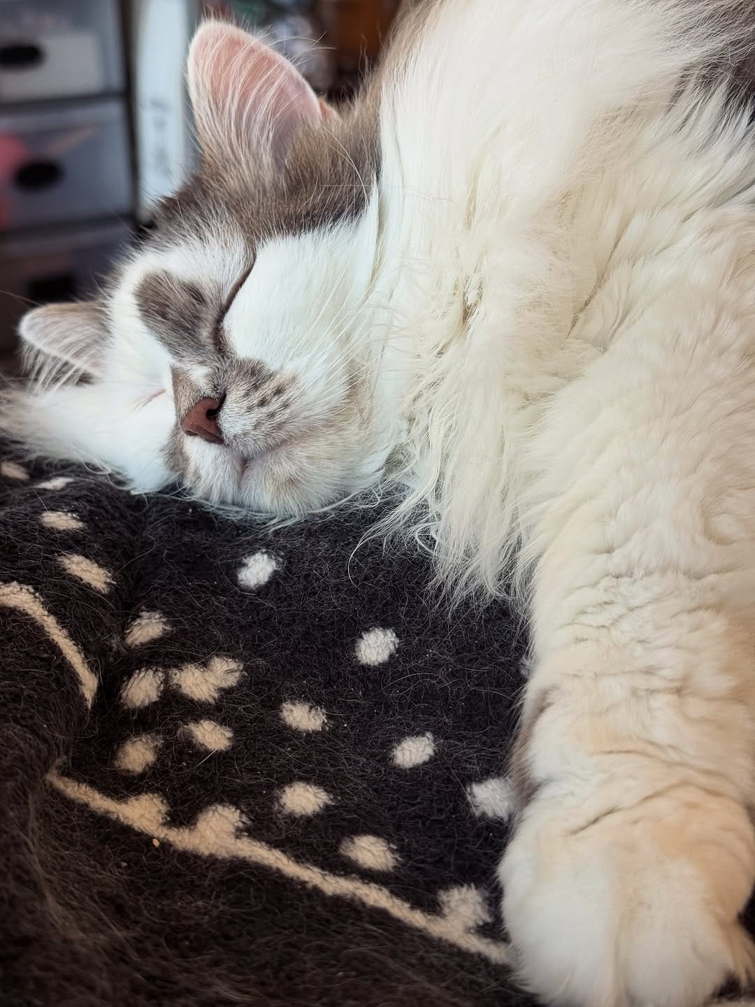 Post 4 by Madame Cookie on Instagram (image)