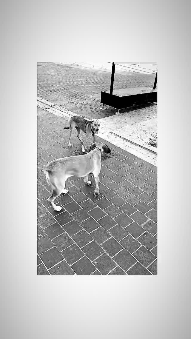 Post 2 by Julien Guitard on Instagram (video)