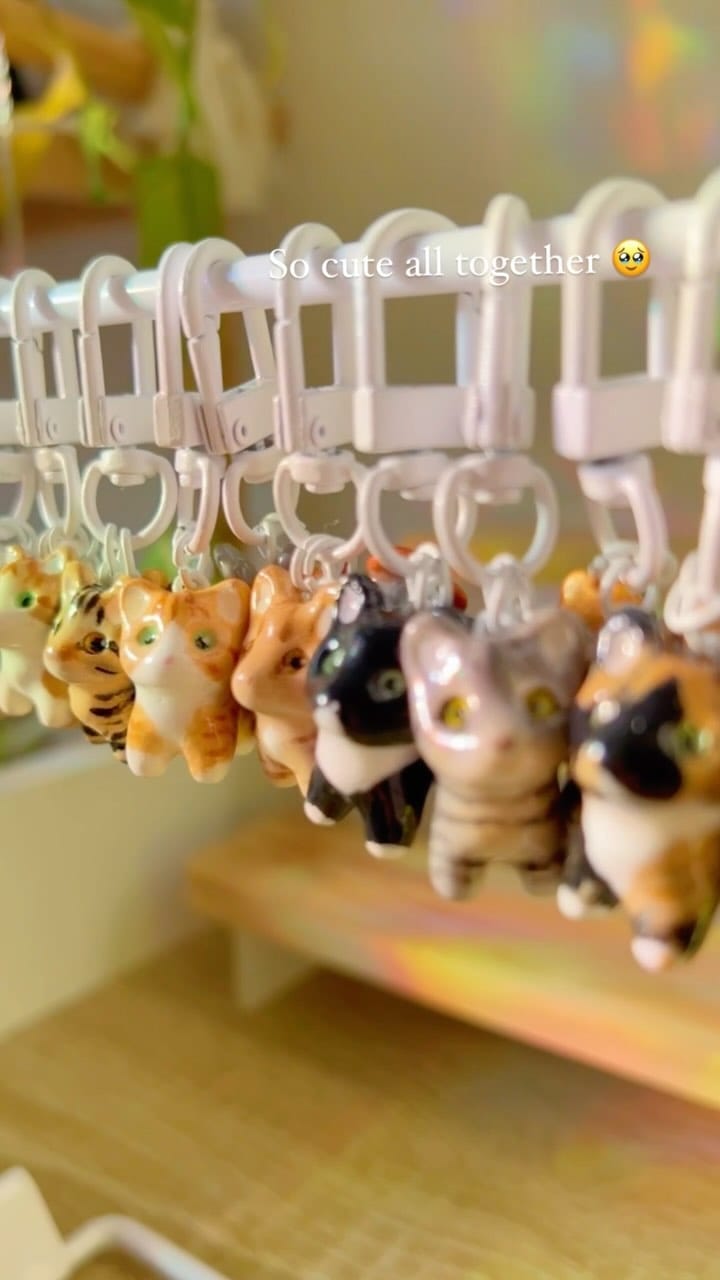 Post 4 by Anjeane & Pouky on Instagram (video)