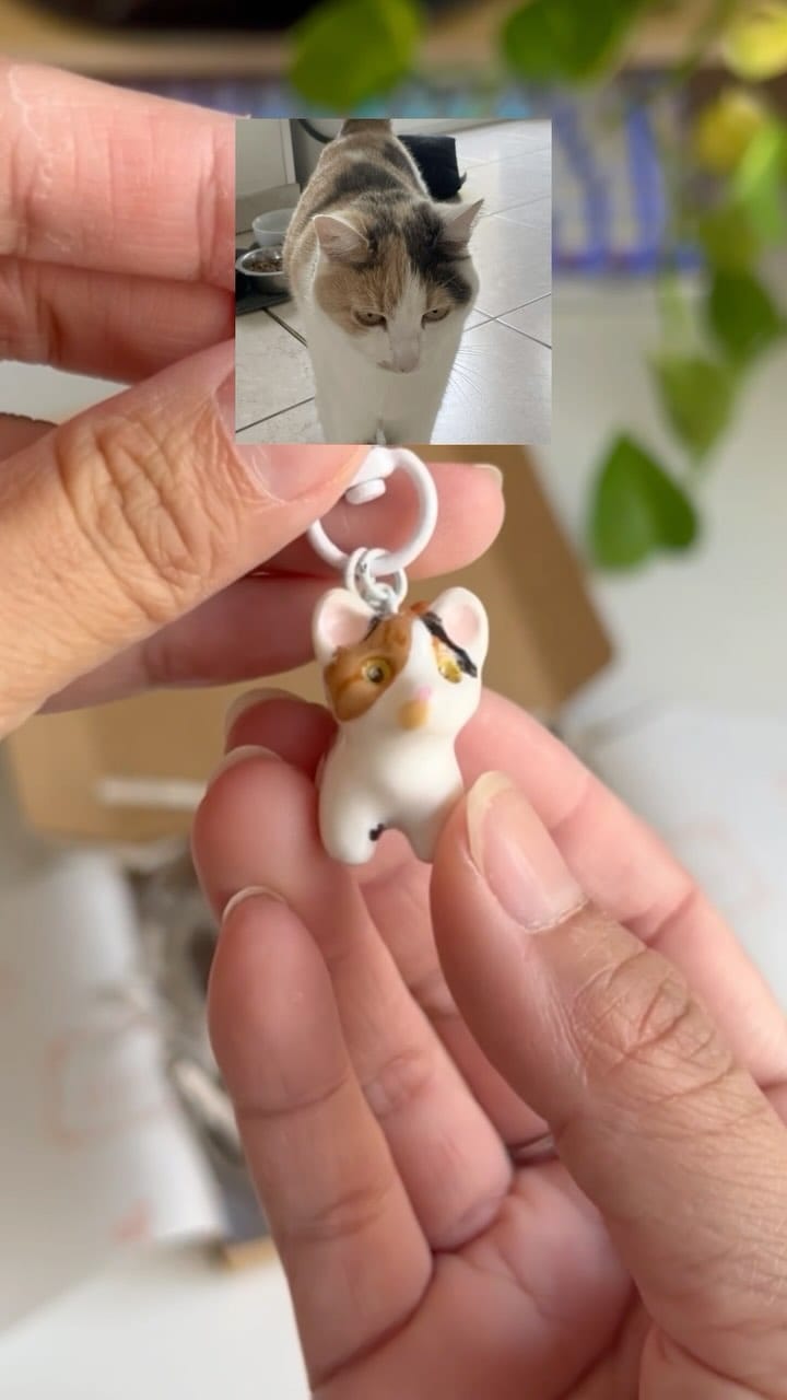 Post 8 by Anjeane & Pouky on Instagram (video)