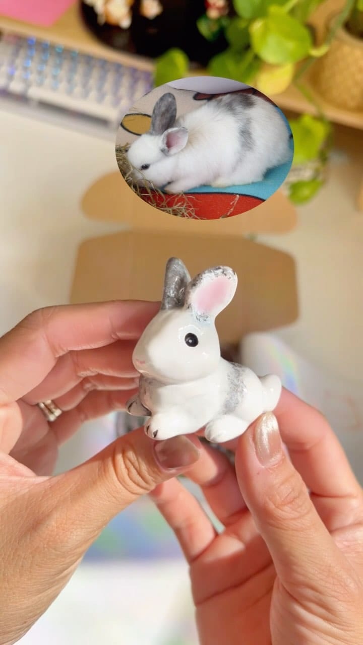 Post 10 by Anjeane & Pouky on Instagram (video)