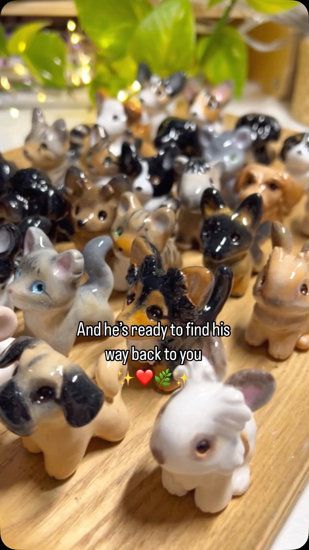 Post 2 by Anjeane & Pouky on Instagram (video)