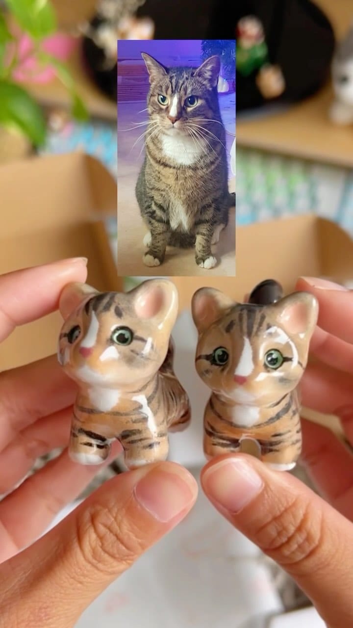 Post 5 by Anjeane & Pouky on Instagram (video)