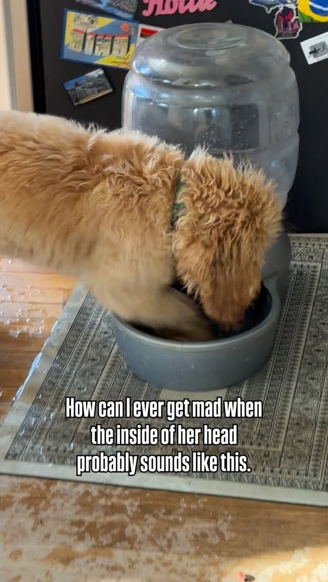 Post 7 by Lala Castro 🧿 on Instagram (video)