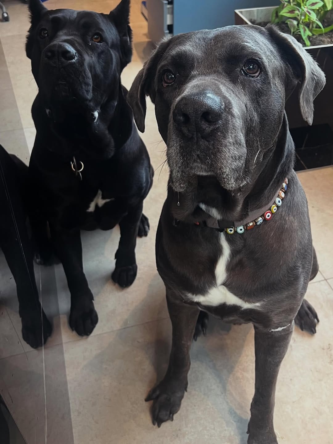 Post 3 by Semir Kurtoglu on Instagram (image)