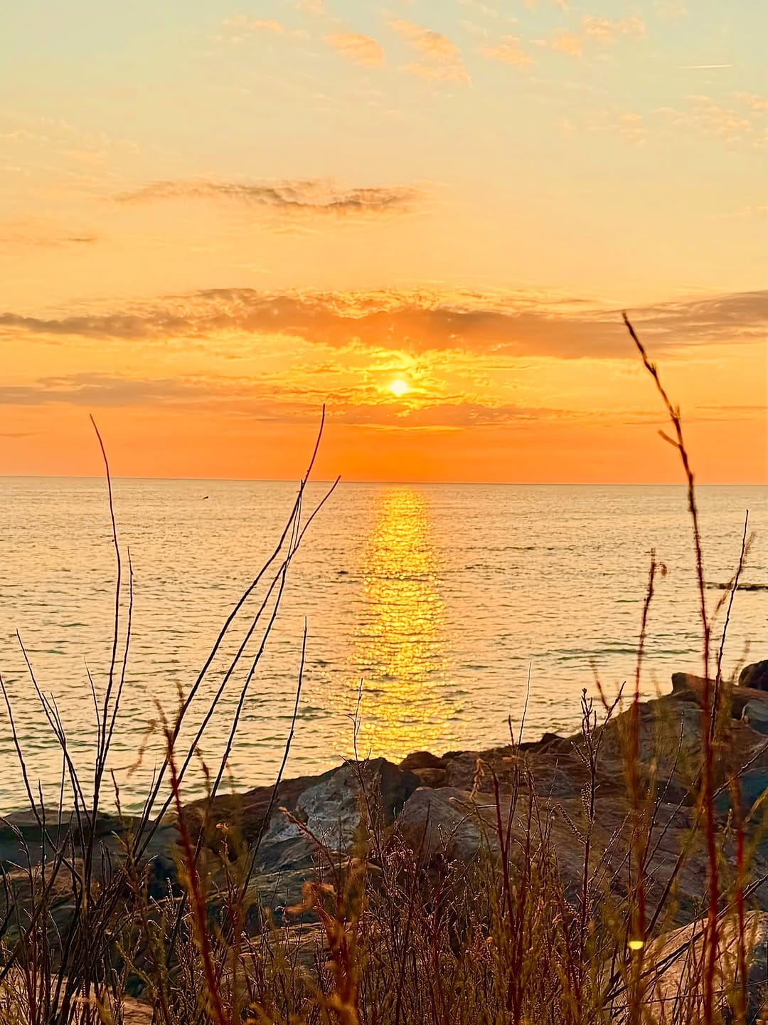 Post 4 by Annie on Instagram (image)