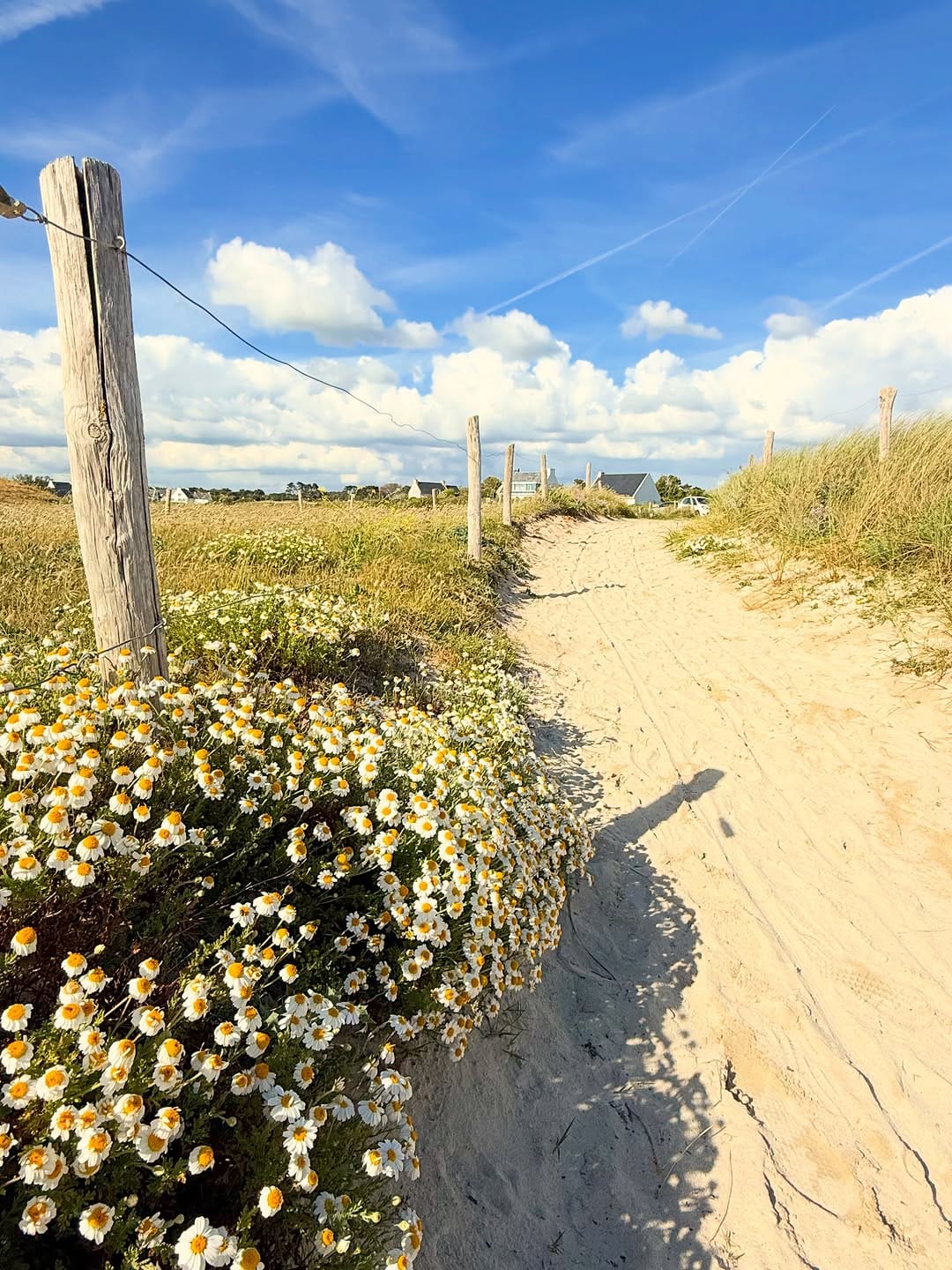 Post 9 by Annie on Instagram (image)