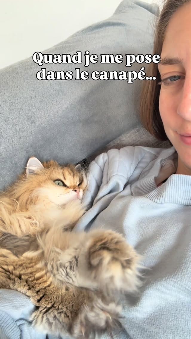 Post 1 by La chatterie des Pompons D’or on Instagram (video)