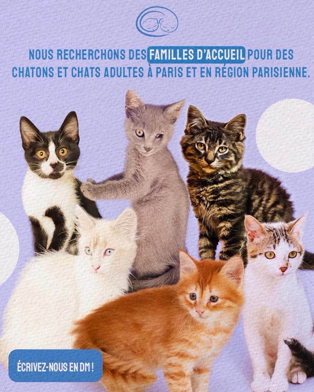 Post 8 by Association Sauvade on Instagram (image)