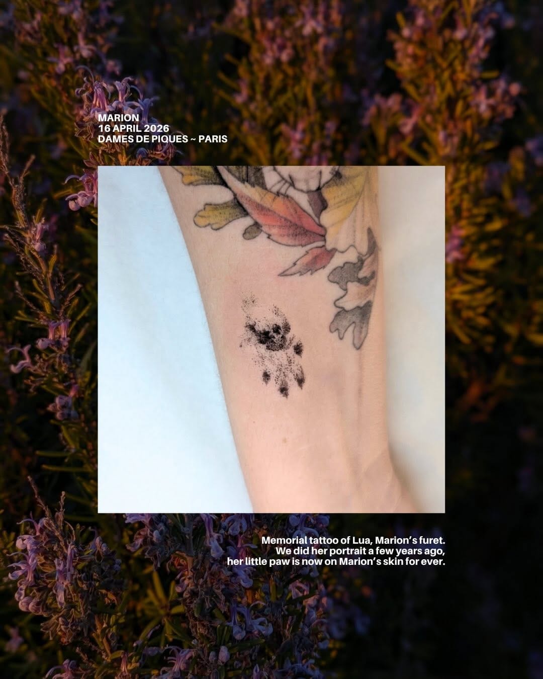 Post 5 by Nausikaa ⓥ tattoo on Instagram (carousel)