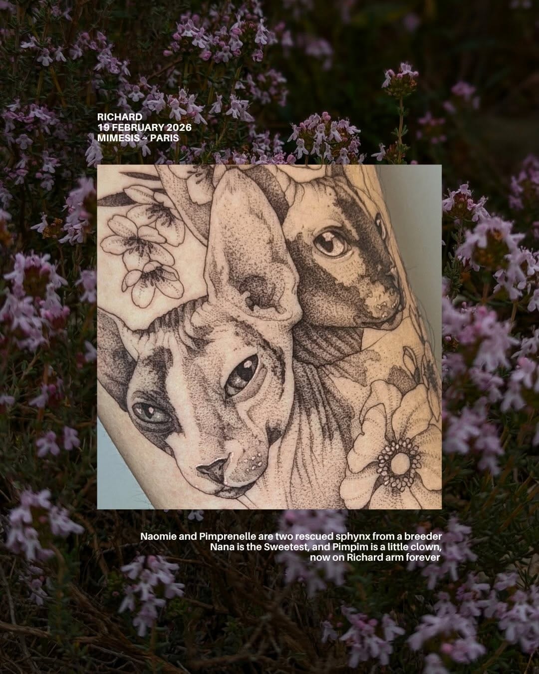 Post 4 by Nausikaa ⓥ tattoo on Instagram (carousel)