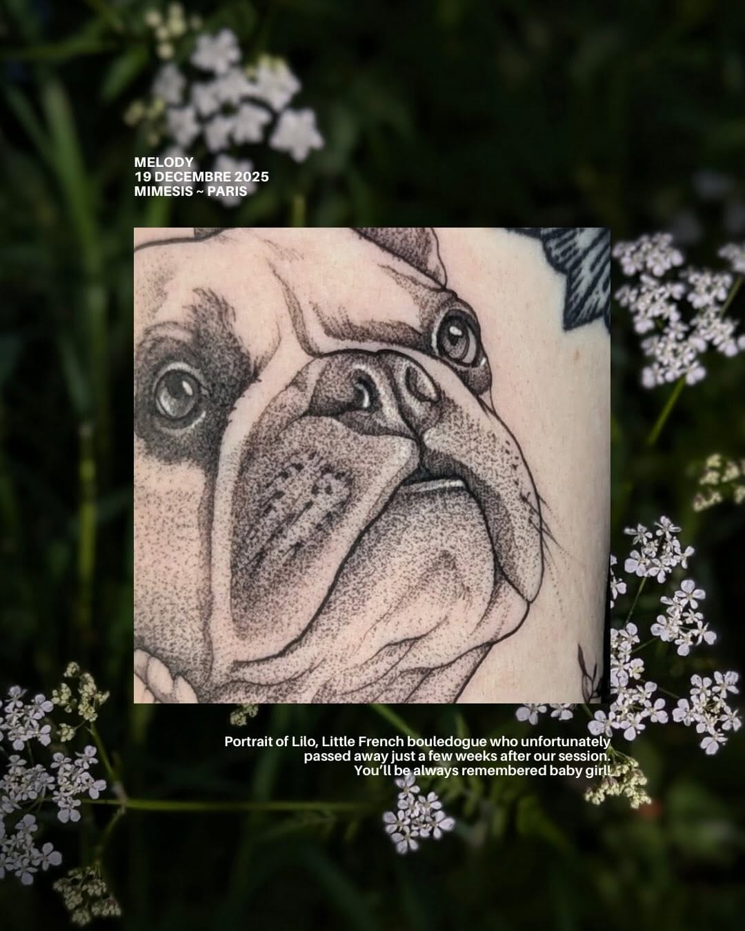 Post 3 by Nausikaa ⓥ tattoo on Instagram (carousel)
